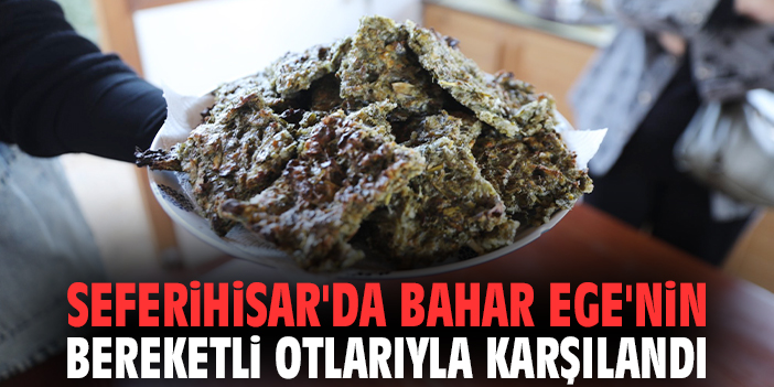 Seferihisar'da bahar Ege'nin bereketli otlarıyla karşılandı