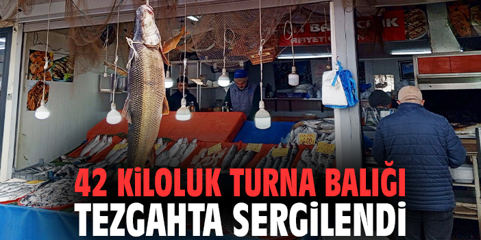 42 kiloluk turna balığı tezgahta sergilendi