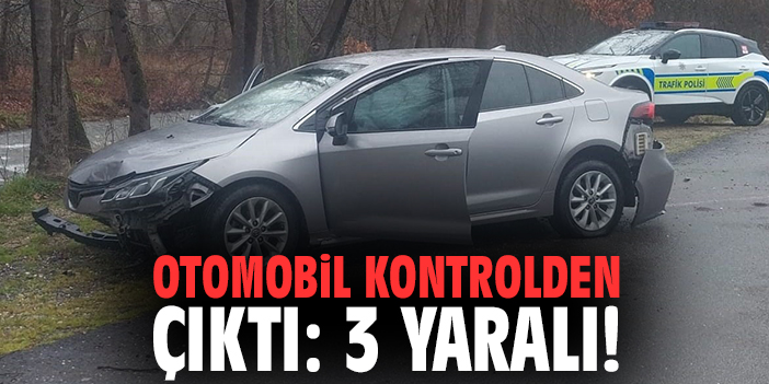 Otomobil kontrolden çıktı: 3 yaralı!