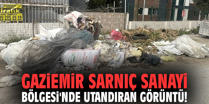 Gaziemir Sarnıç Sanayi Bölgesi'nde utandıran görüntü!