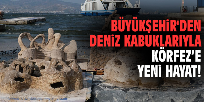 Büyükşehir'den deniz kabuklarıyla Körfez’e yeni hayat!