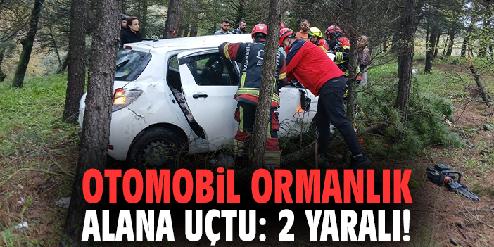 Otomobil ormanlık alana uçtu: 2 yaralı!