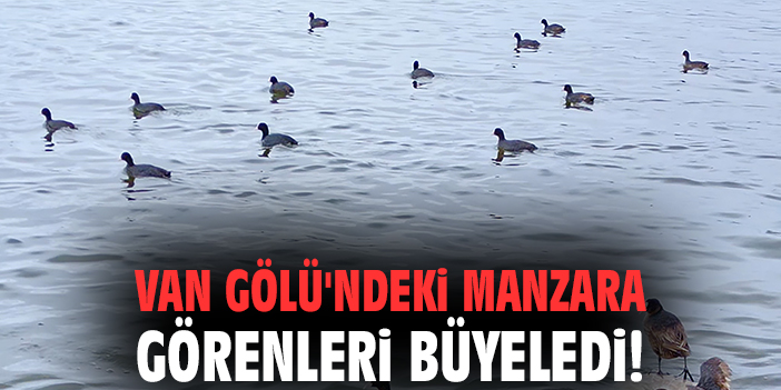Van Gölü'nde manzara görenleri büyeledi!