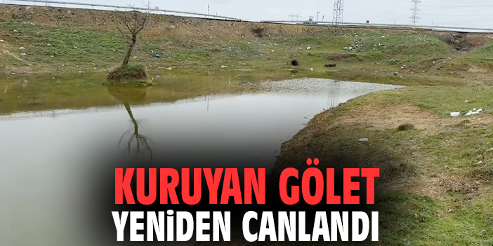 Kuruyan gölet yeniden canlandı