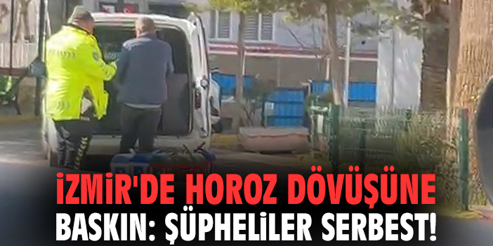 İzmir'de horoz dövüşüne baskın: Şüpheliler serbest!