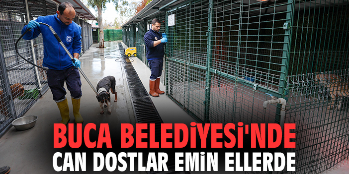 Buca Belediyesi'nde can dostlar emin ellerde
