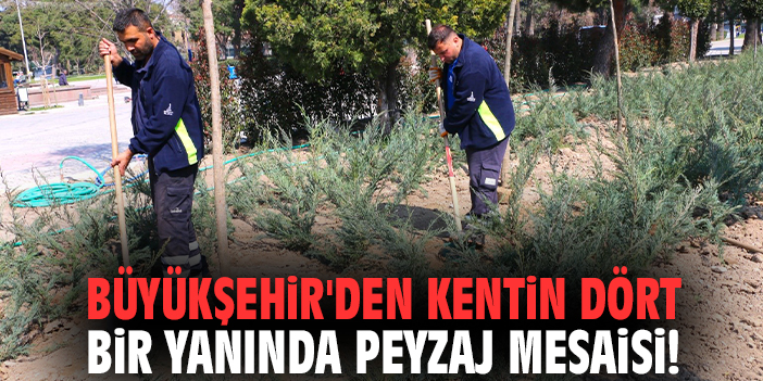 Büyükşehir'den kentin dört bir yanında peyzaj mesaisi!