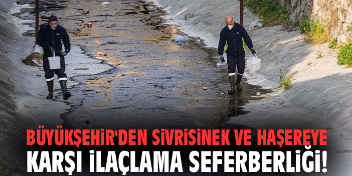 Büyükşehir'den sivrisinek ve haşereye karşı ilaçlama seferberliği!