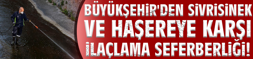 Büyükşehir'den sivrisinek ve haşereye karşı ilaçlama seferberliği!