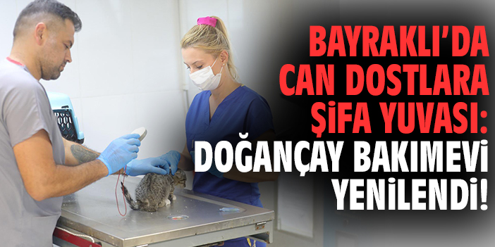 Bayraklı'da can dostlara şifa yuvası: Doğançay Bakımevi yenilendi!