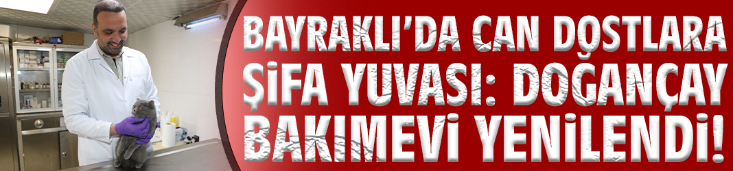 Bayraklı'da can dostlara şifa yuvası: Doğançay Bakımevi yenilendi!