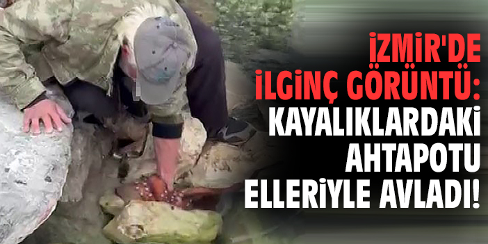 İzmir'de ilginç görüntü: Kayalıklardaki ahtapotu elleriyle avladı!