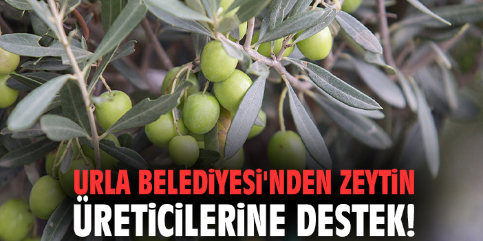 Urla Belediyesi'nden zeytin üreticilerine destek!