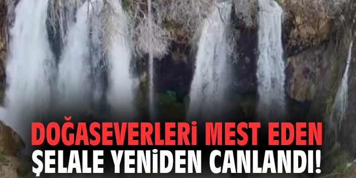 Doğa severleri mest eden şelale yeniden canlandı!