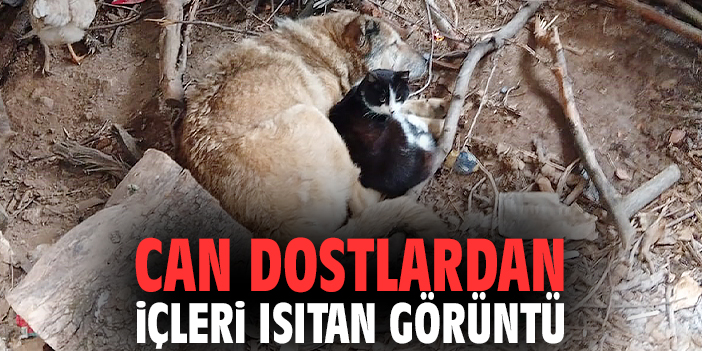 Can dostlardan içleri ısıtan görüntü