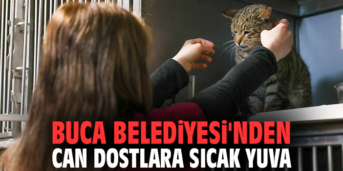Buca Belediyesi'nden can dostlara sıcak yuva