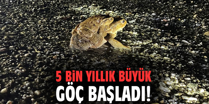 5 bin yıllık büyük göç başladı!