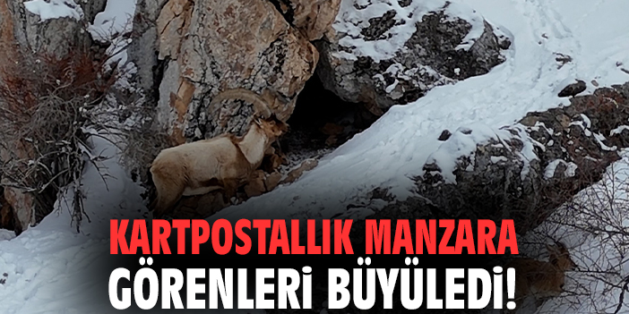 Kartpostallık manzara görenleri büyüledi!