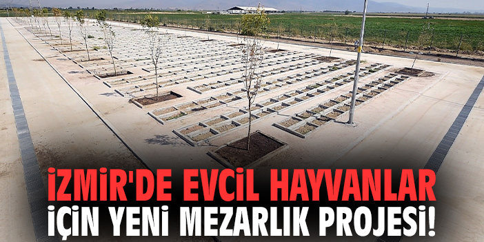 İzmir'de evcil hayvanlar için yeni mezarlık projesi!