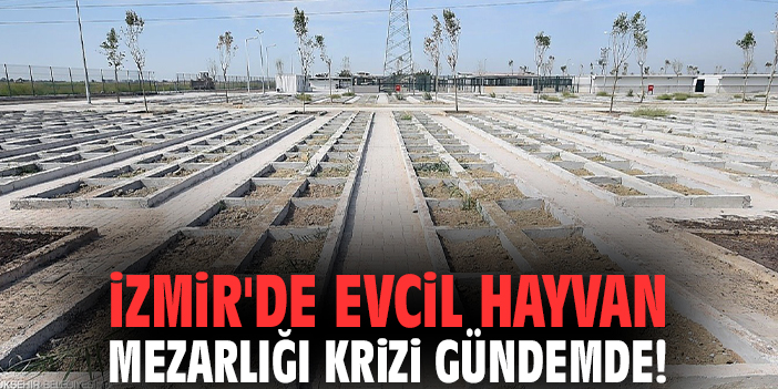 İzmir'de evcil hayvan mezarlığı krizi gündemde!