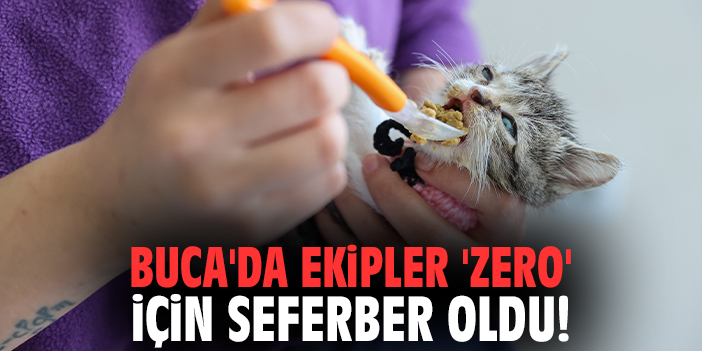 Buca'da ekipler 'Zero' için seferber oldu!