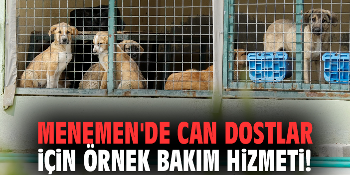 Menemen'de can dostlar için örnek bakım hizmeti!