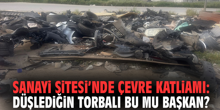 Sanayi Sitesi’nde çevre katliamı: Düşlediğin Torbalı bu mu başkan?