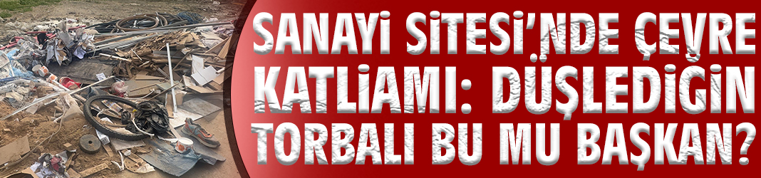 Sanayi Sitesi’nde çevre katliamı: Düşlediğin Torbalı bu mu başkan?
