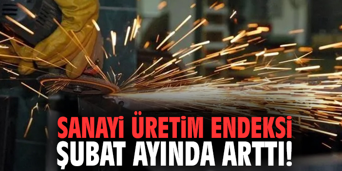 Sanayi Üretim Endeksi şubat ayında arttı!