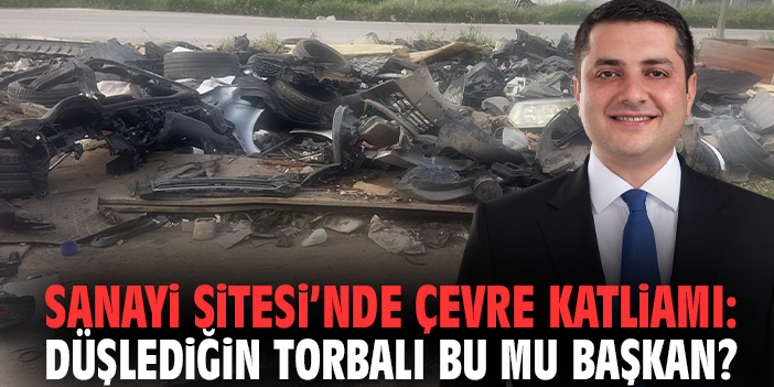 Sanayi Sitesi’nde çevre katliamı: Düşlediğin Torbalı bu mu başkan?