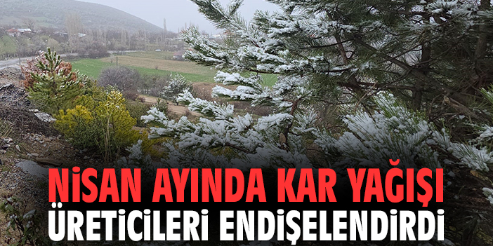 Nisan ayında kar yağışı üreticileri endişelendirdi