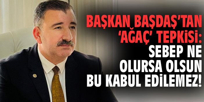 Başkan Başdaş'tan 'Ağaç' tepkisi: Sebep ne olursa olsun bu kabul edilemez!