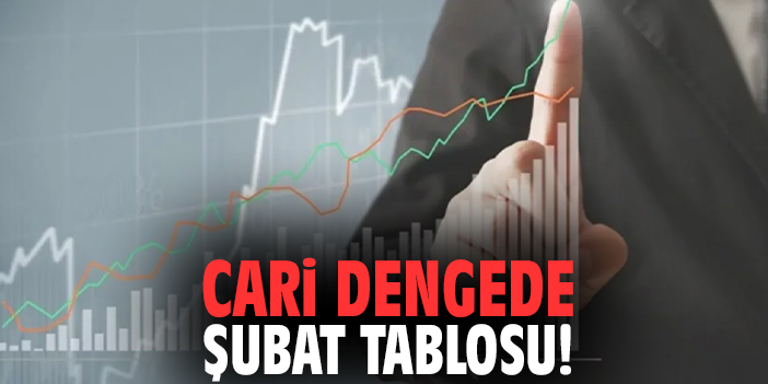 Cari dengede Şubat tablosu!