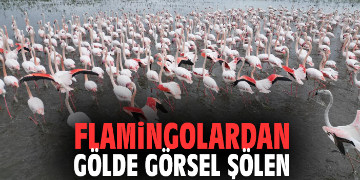 Flamingolardan gölde görsel şölen
