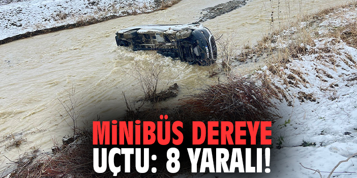 Minibüs dereye uçtu: 8 yaralı!