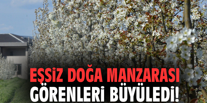 Eşsiz doğa manzarası görenleri büyüledi!