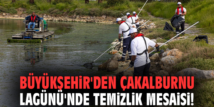 Büyükşehir'den Çakalburnu Lagünü'nde temizlik mesaisi!