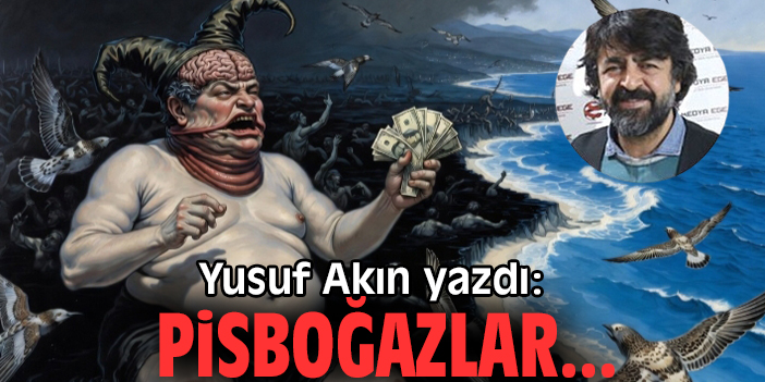 Pisboğazlar...