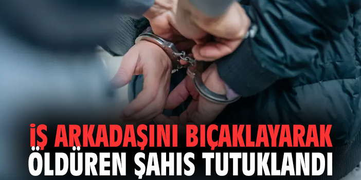 İş arkadaşını bıçaklayarak öldüren şahıs tutuklandı