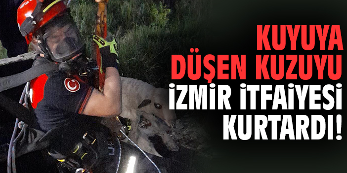 Kuyuya düşen kuzuyu İzmir İtfaiyesi kurtardı!