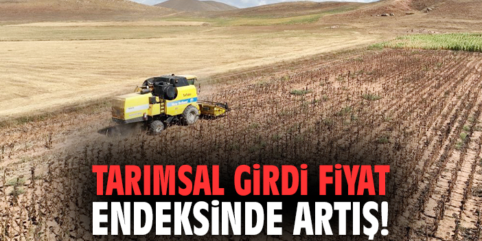Tarımsal girdi fiyat endeksinde artış!