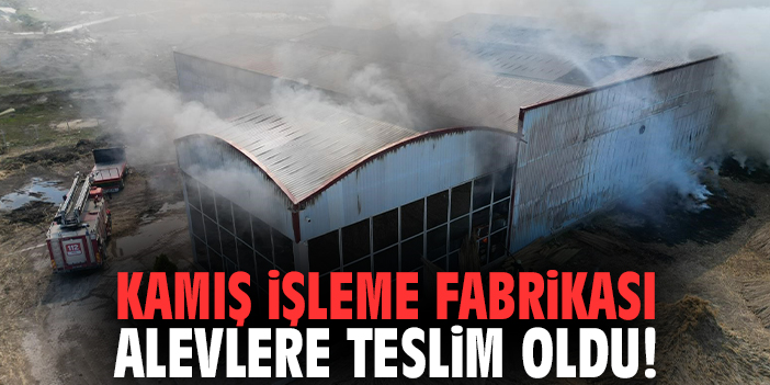 Kamış işleme fabrikası alevlere teslim oldu!