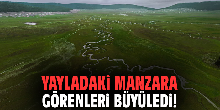 Yayladaki manzara görenleri büyüledi!