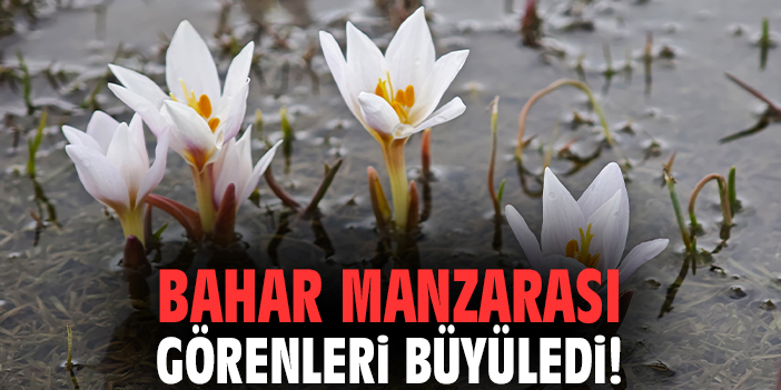 Bahar manzarası görenleri büyüledi!