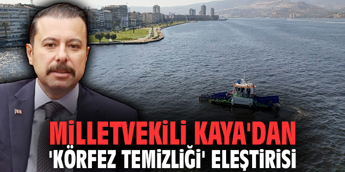 Milletvekili Kaya'dan 'körfez temizliği' eleştirisi