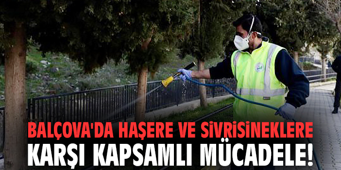 Balçova'da haşere ve sivrisineklere karşı kapsamlı mücadele!