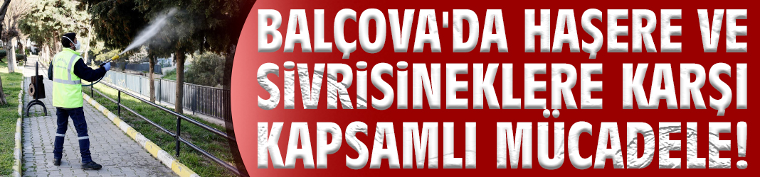 Balçova'da haşere ve sivrisineklere karşı kapsamlı mücadele!