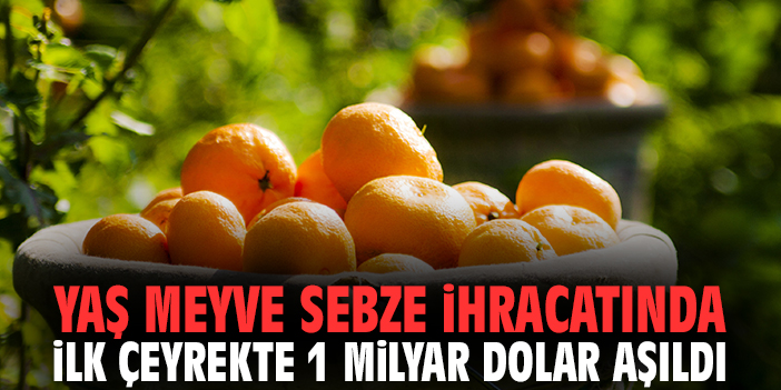 Yaş meyve sebze ihracatında ilk çeyrekte 1 milyar dolar aşıldı