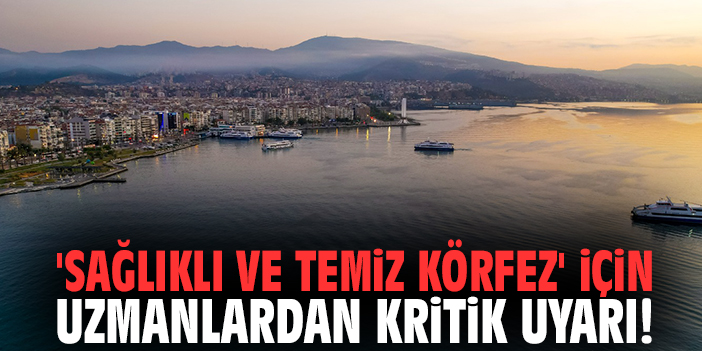'Sağlıklı ve Temiz Körfez' için uzmanlardan kritik uyarı!