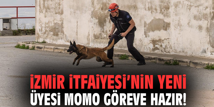 İzmir İtfaiyesi’nin yeni üyesi Momo göreve hazır!